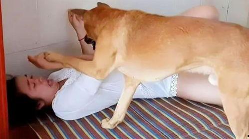 女人和大狗在线视频,一段跨越物种的深情瞬间