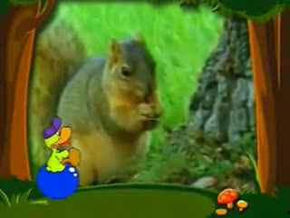 儿童英语动物视频,儿童英语视频之旅