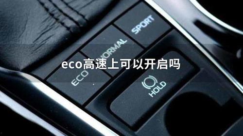 eco视频,绿色生活新风尚